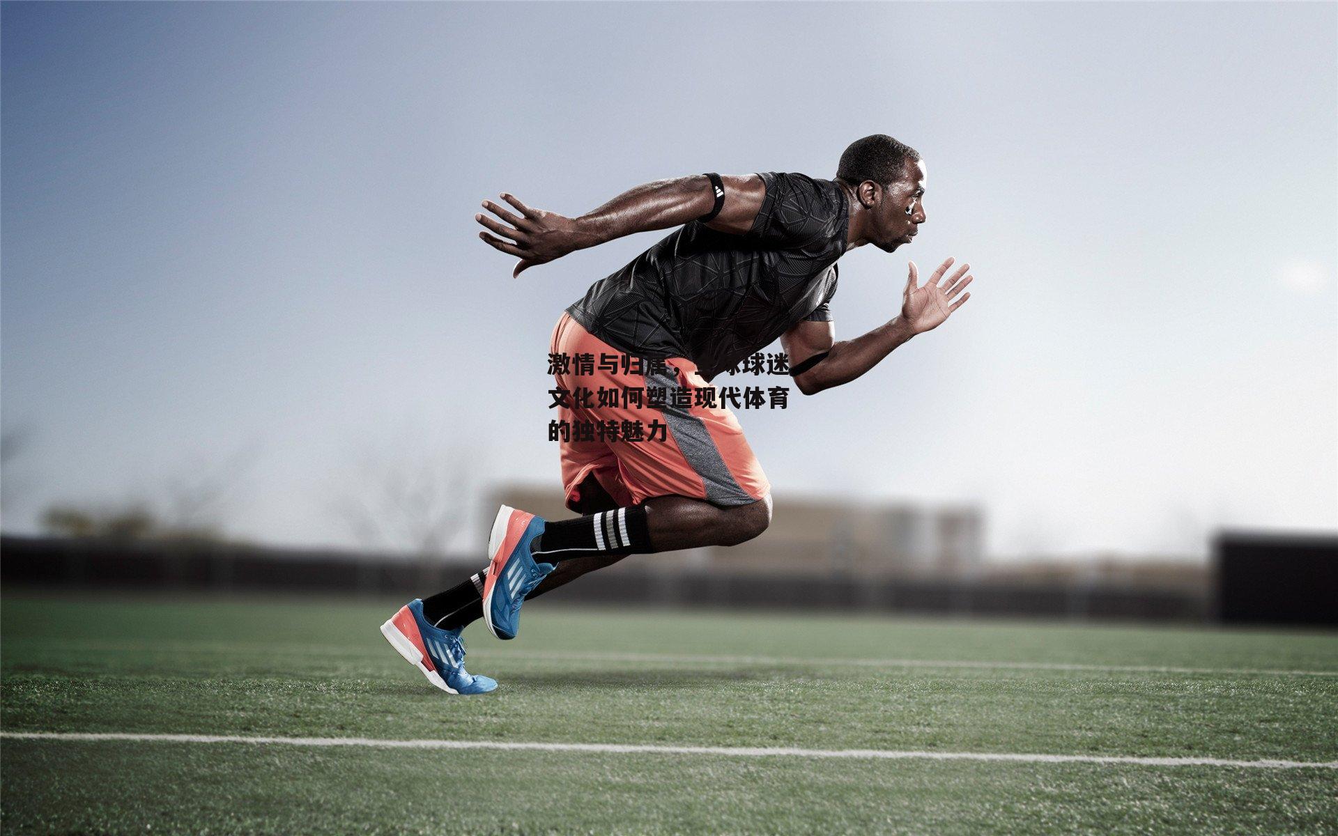 激情与归属<a href=