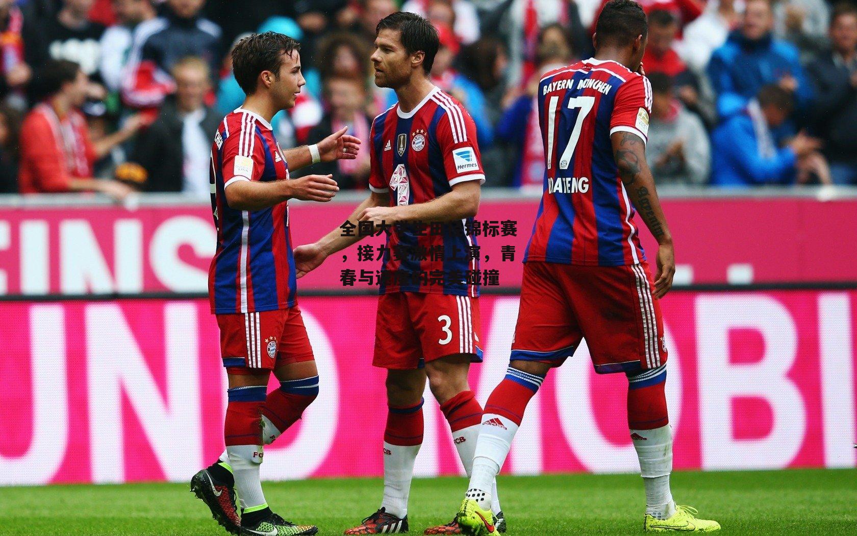 全国大学生田径锦标赛,接力赛激情上演,青春与速度的完美碰撞