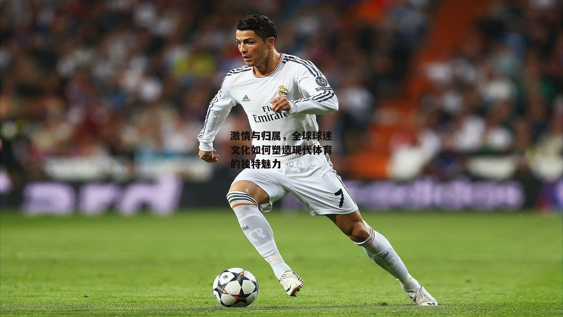 激情与归属,全球球迷文化如何塑造现代体育的独特魅力